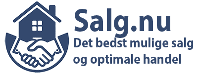 Salg.nu Logo